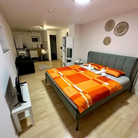 30 Sqm Obertuerkheim Lägenhet